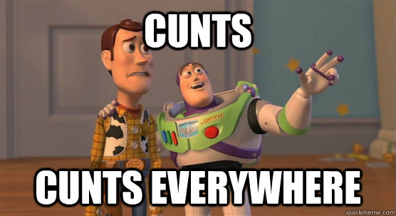 cunts cunts everywhere  Toy Story Everywhere