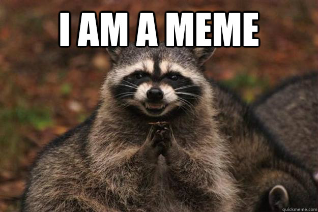 I am a meme  - I am a meme   Evil Plotting Raccoon