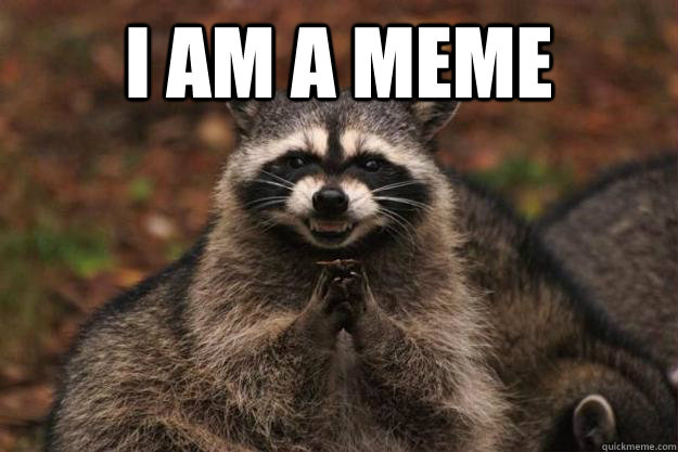 I am a meme   Evil Plotting Raccoon