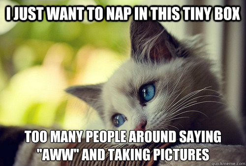 i just want to nap in this tiny box too many people around saying 