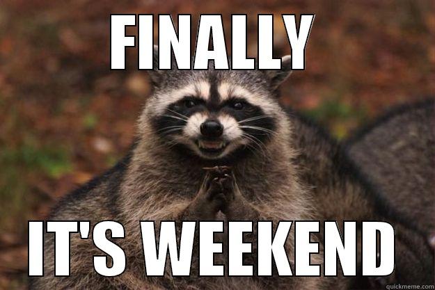 FINALLY IT'S WEEKEND Evil Plotting Raccoon