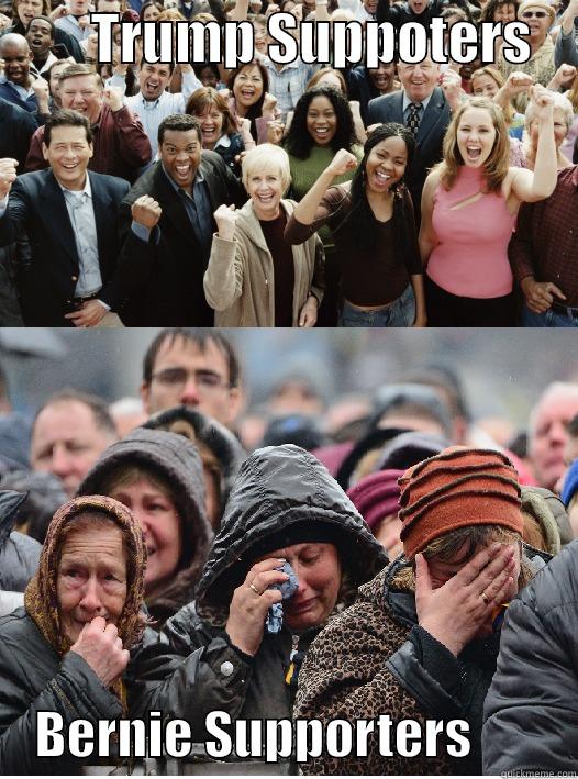         TRUMP SUPPOTERS         BERNIE SUPPORTERS          Misc