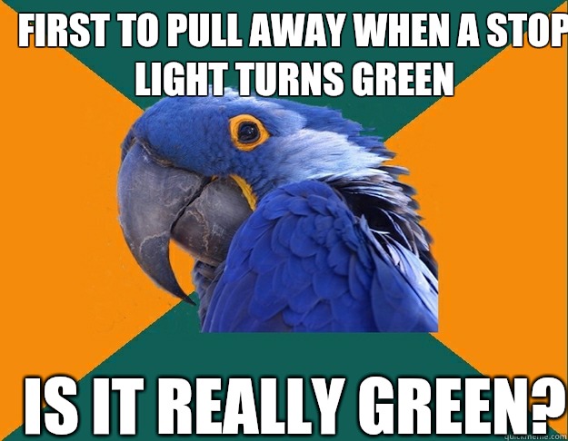 First to pull away when a stop light turns green  Is it really green?   Paranoid Parrot