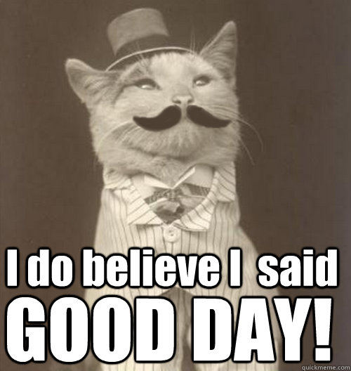 I do believe I  said GOOD DAY! - I do believe I  said GOOD DAY!  Original Business Cat