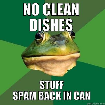 NO CLEAN DISHES STUFF SPAM BACK IN CAN Foul Bachelor Frog