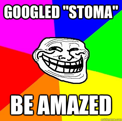 googled 