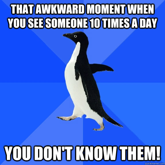 that awkward moment when you see someone 10 times a day you don't know them!  Socially Awkward Penguin