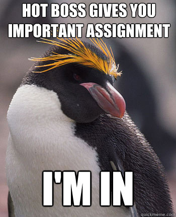 Hot boss gives you important assignment I'm in  Socially Overconfident Penguin