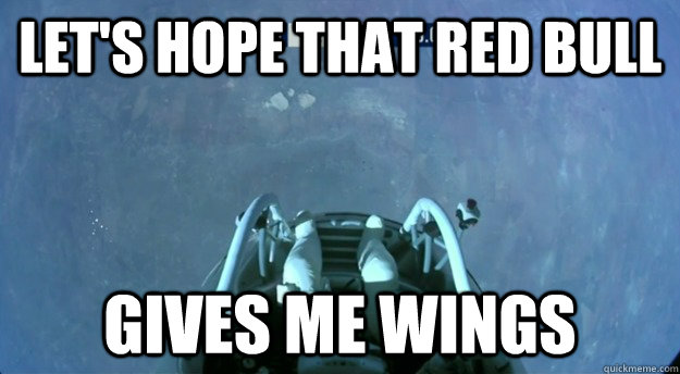 Let's hope that red bull gives me wings  Stratosphere Freefall