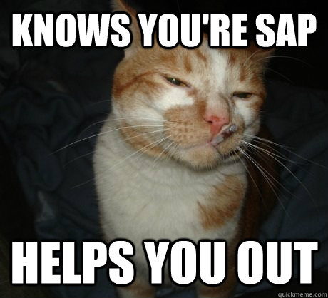 Knows you're SAP Helps you out  - Knows you're SAP Helps you out   Good Cat Greg