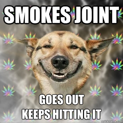 smokes joint goes out
keeps hitting it  Stoner Dog