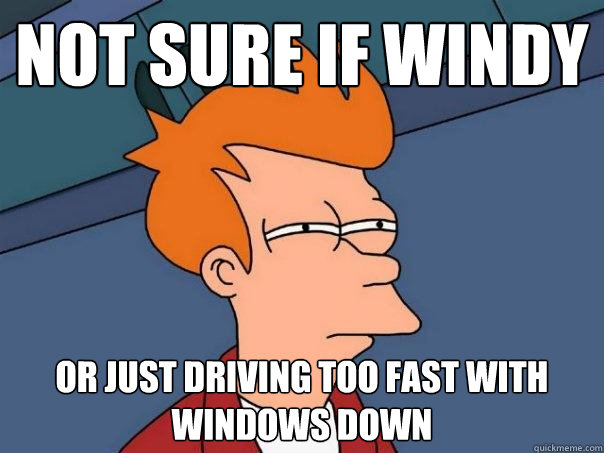 Not sure if windy Or just driving too fast with windows down  Futurama Fry