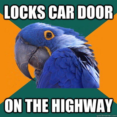 locks car door on the highway  Paranoid Parrot