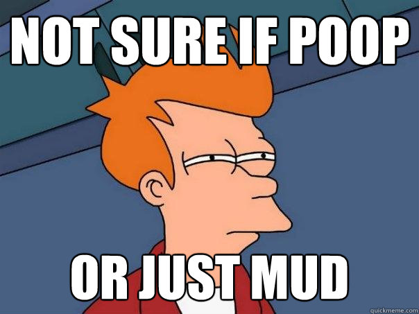 Not sure if poop Or just mud  Futurama Fry