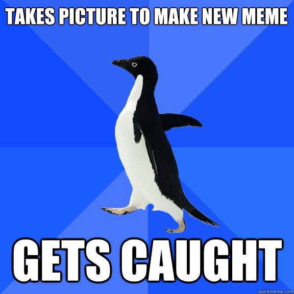 takes picture to make new meme gets caught  Socially Awkward Penguin