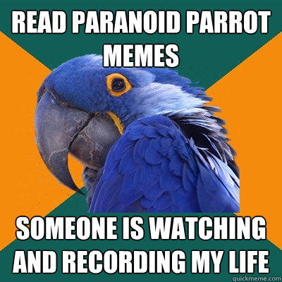 Read Paranoid Parrot Memes Someone is watching and recording my life - Read Paranoid Parrot Memes Someone is watching and recording my life  Paranoid Parrot