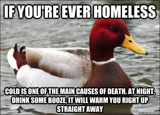 If you're ever homeless Cold is one of the main causes of death. At night, drink some booze, it will warm you right up straight away - If you're ever homeless Cold is one of the main causes of death. At night, drink some booze, it will warm you right up straight away  Malicious Advice Mallard