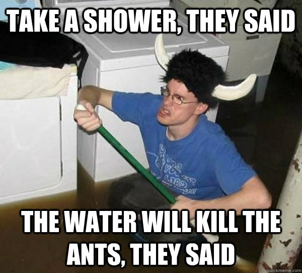 Take a shower, they said The water will kill the ants, they said  They said