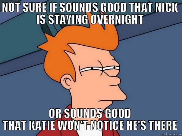 NOT SURE IF SOUNDS GOOD THAT NICK IS STAYING OVERNIGHT OR SOUNDS GOOD THAT KATIE WON'T NOTICE HE'S THERE Futurama Fry