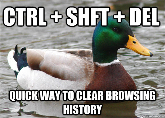 Ctrl + Shft + Del Quick way to clear browsing history  Actual Advice Mallard