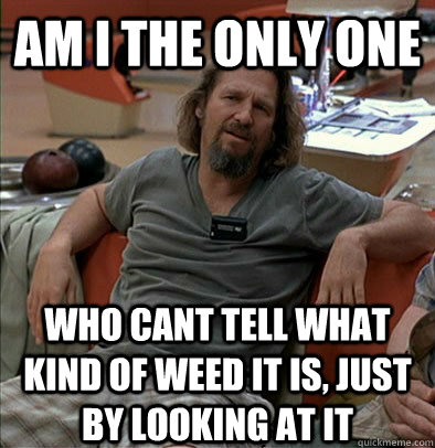 Am I the only one  who cant tell what kind of weed it is, just by looking at it  The Dude