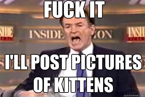 fuck it i'll post pictures of kittens - fuck it i'll post pictures of kittens  Fuck It Bill OReilly
