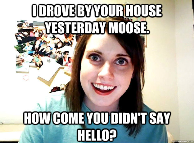 I drove by your house yesterday Moose. How come you didn't say hello?  crazy girlfriend