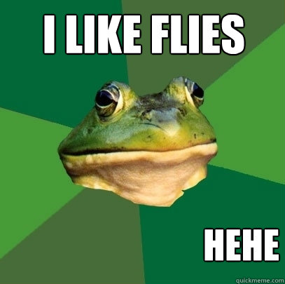 i like flies hehe - i like flies hehe  Foul Bachelor Frog