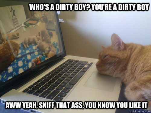 Who's a dirty boy? you're a dirty boy aww yeah, sniff that ass, you know you like it - Who's a dirty boy? you're a dirty boy aww yeah, sniff that ass, you know you like it  interacialCat