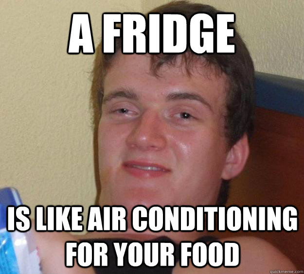 A fridge is like Air conditioning for your food  10 Guy