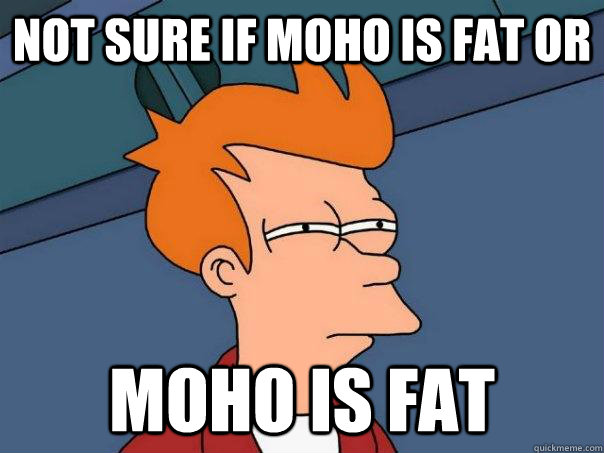 Not sure if moho is fat or Moho is fat  Futurama Fry