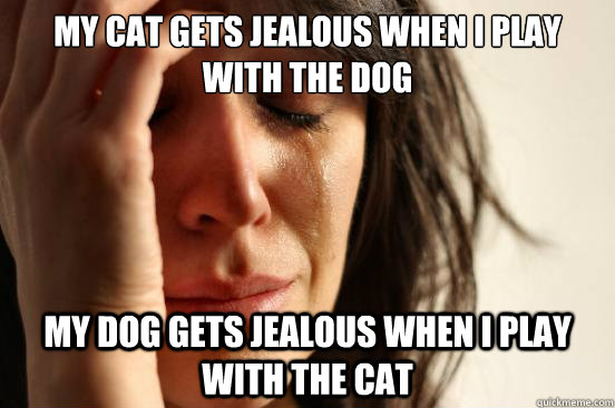 My cat gets jealous when I play with the dog My Dog gets jealous when I play with the cat   First World Problems