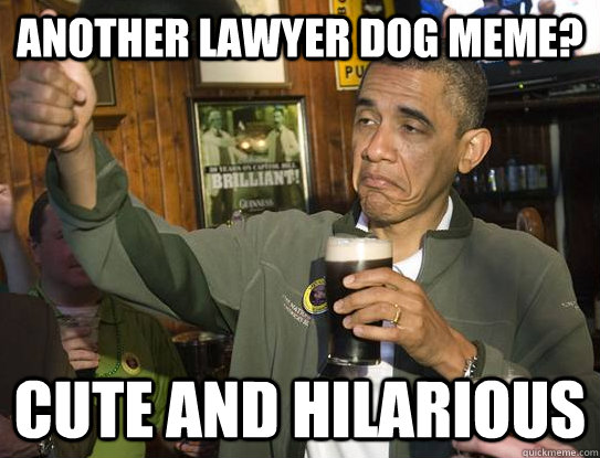 another lawyer dog meme? cute and hilarious  Upvoting Obama
