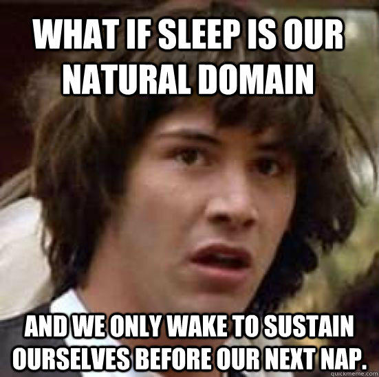 What if sleep is our natural domain and we only wake to sustain ourselves before our next nap.  conspiracy keanu