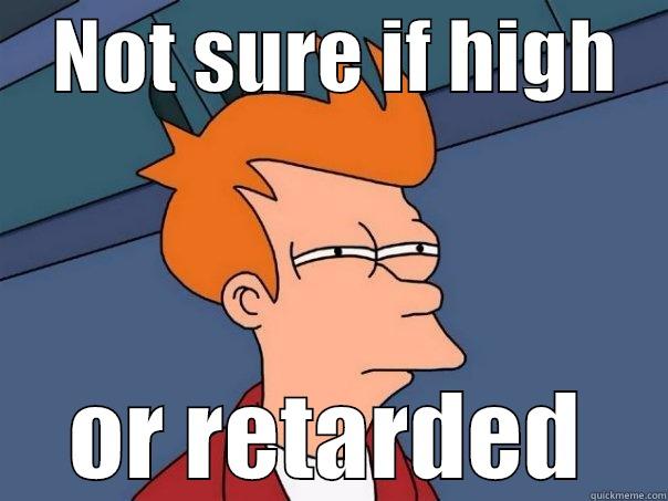    NOT SURE IF HIGH        OR RETARDED    Futurama Fry