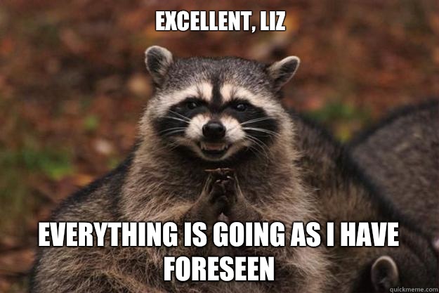 Excellent, Liz Everything is going as I have foreseen  Evil Plotting Raccoon