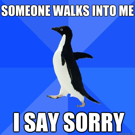 Someone walks into me I say Sorry    Socially Awkward Penguin