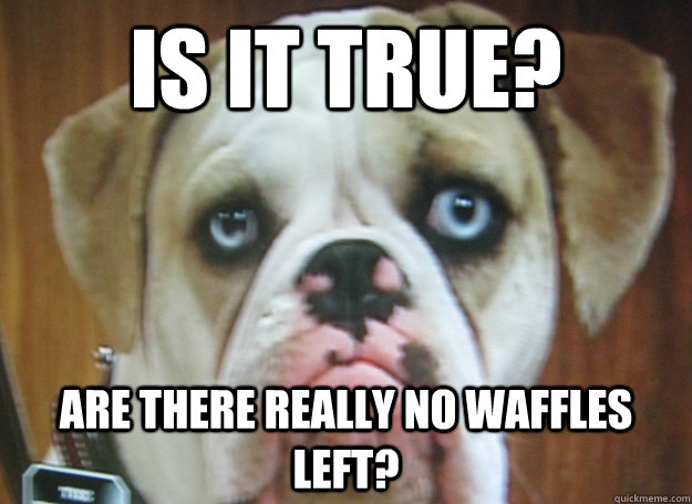 is it true? are there really no waffles left?  