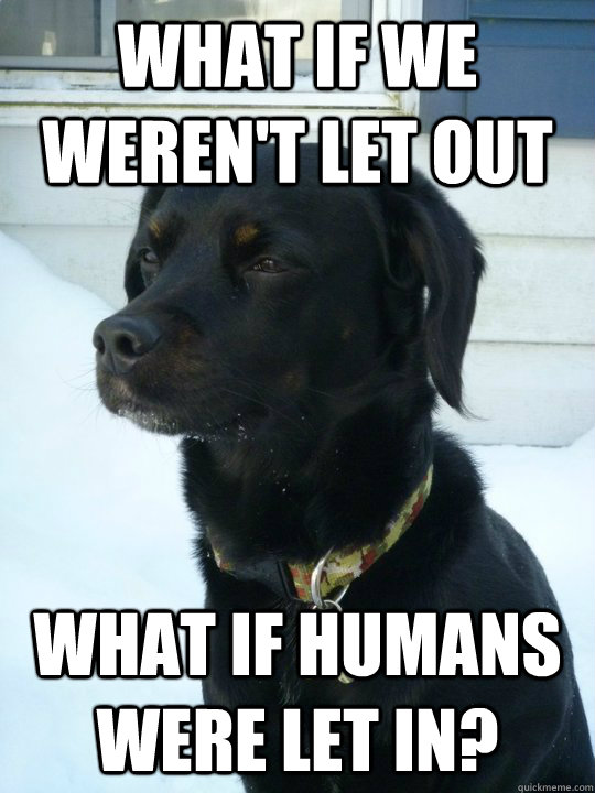 What if we weren't let out What if humans were let in?  Philosophical Puppy