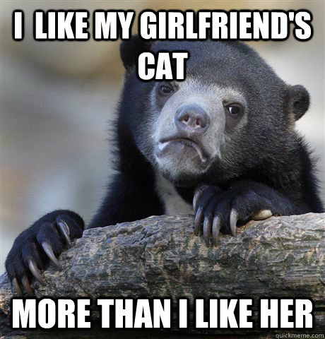 I  like my girlfriend's cat more than I like her - I  like my girlfriend's cat more than I like her  Misc