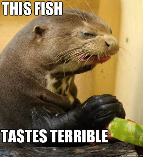 This fish Tastes terrible - This fish Tastes terrible  Disgusted Otter