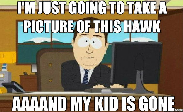I'm just going to take a picture of this hawk AAAAND my kid is gone  aaaand its gone