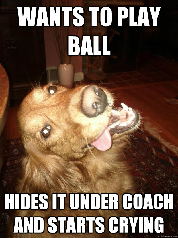 wants to play ball hides it under coach and starts crying  Scumbag dog