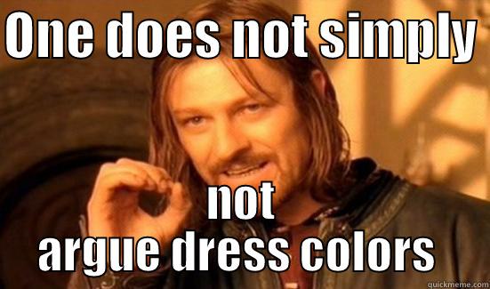 ONE DOES NOT SIMPLY  NOT ARGUE DRESS COLORS  Boromir