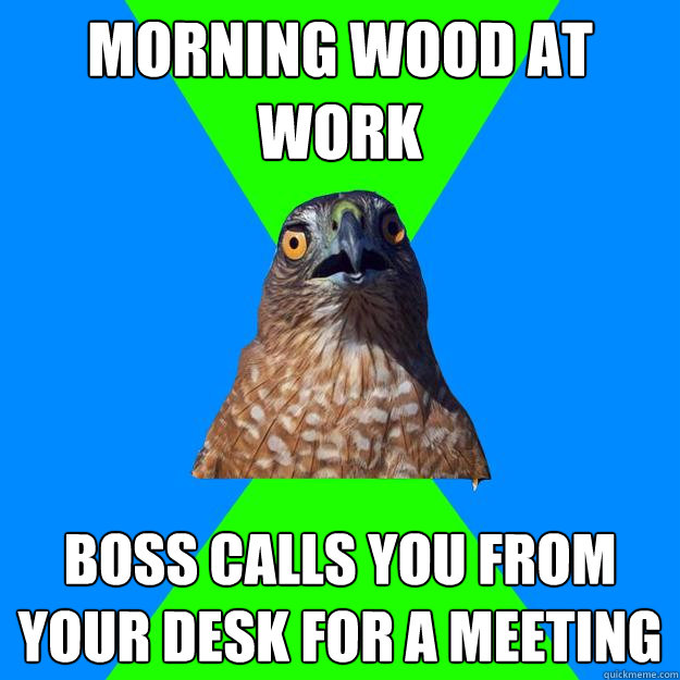 Morning wood at work boss calls you from your desk for a meeting  Hawkward