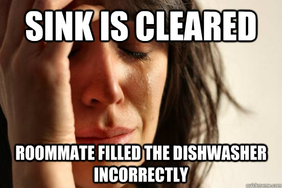 Sink is cleared Roommate filled the dishwasher incorrectly  First World Problems