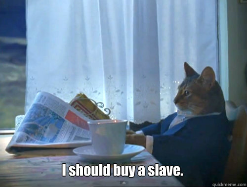 I should buy a slave.   The One Percent Cat