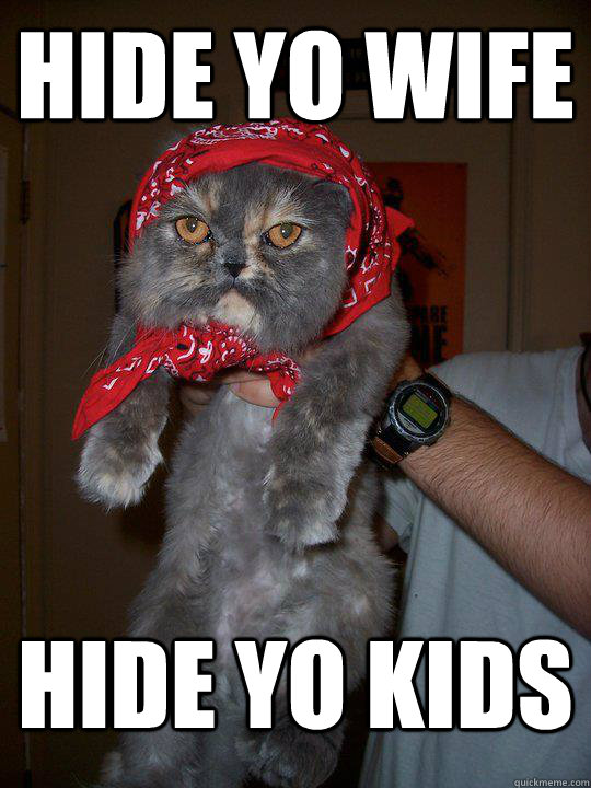 Hide yo wife hide yo kids - Hide yo wife hide yo kids  Soviet Cat