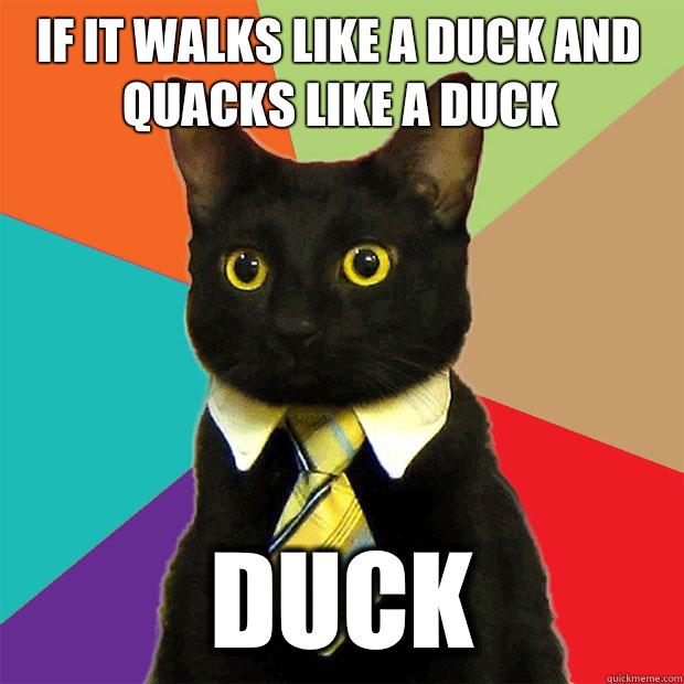 If it walks like a duck and quacks like a duck Duck  Business Cat