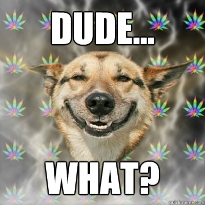 dude... what?  Stoner Dog